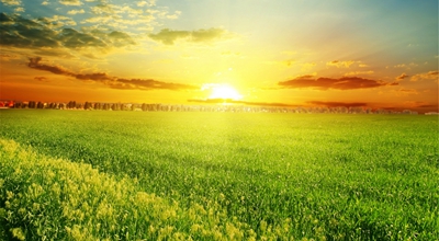 还有没有微信投票赚钱的平台？微米君这个平台怎么样？