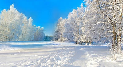 热度星客app的每天签到领红包依然还在，每天0.30元左右