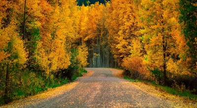 数藏平台非梵艺术，30天可以免费赚40元以上，已有人到账