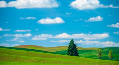 支付宝的春季消费节，每天翻一翻领红包，最高可领88元