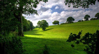 微信阅读文章挣钱平台，南瓜阅读和番茄看看最新入口
