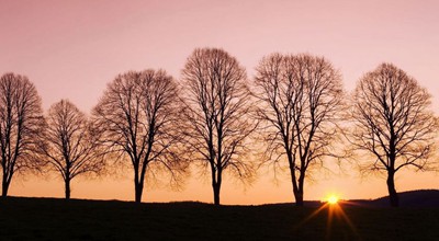 笛扬新闻app：免费领0.8-88元现金红包，可以直接提现