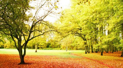 苍穹雷电战机：类似雷霆战机街机版，可拿0.90元红包