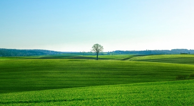 梦幻仙域app游戏玩法攻略，能免费赚钱的第2个山海经异变