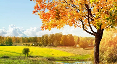 2023年最后一期，建行惠省钱活动简单领16元微信立减金